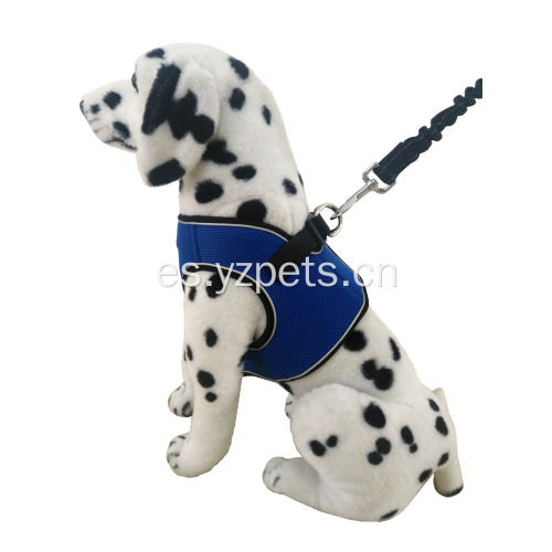 Arnés clásico reversible para perros súper cómodo